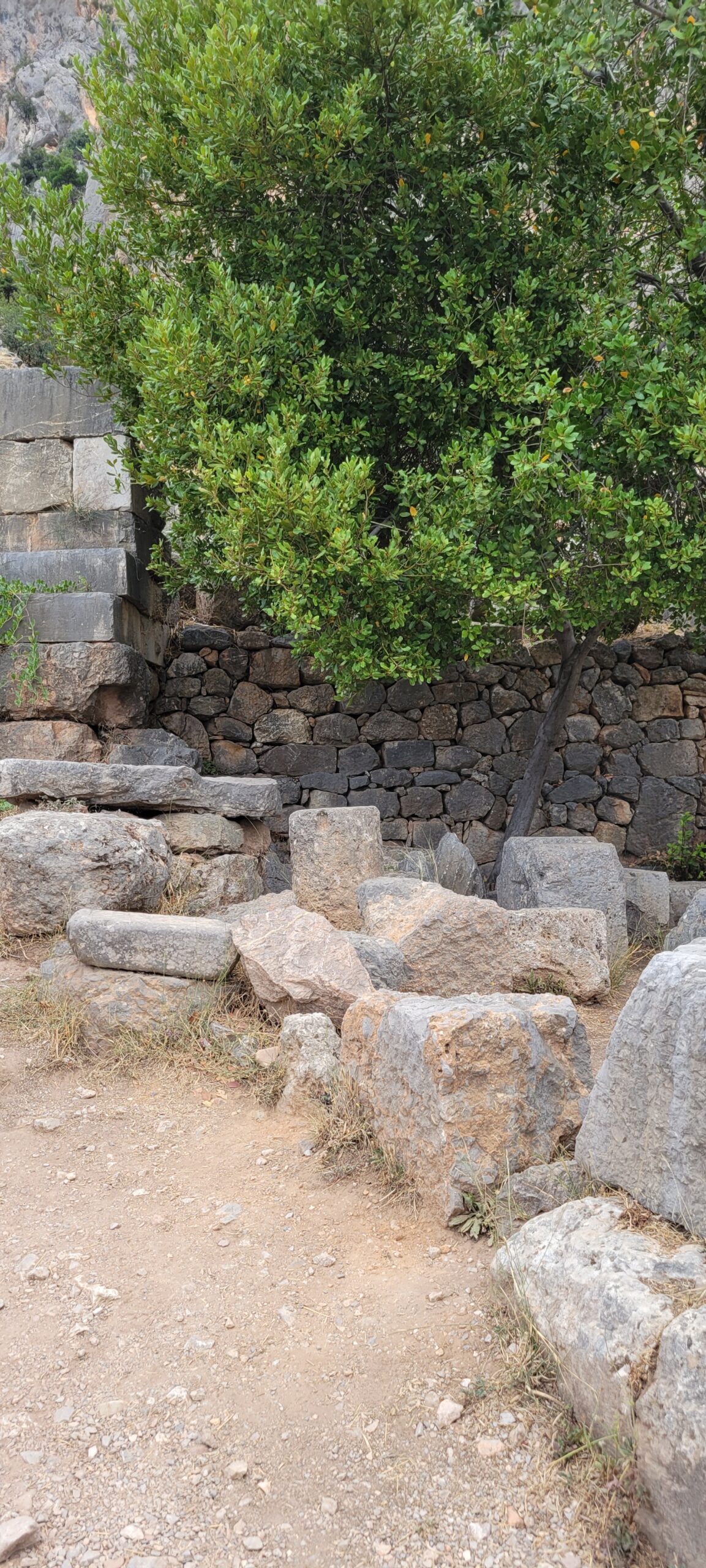 Cat perched on ancient ruins